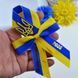 Брошка на 1 вересня патріотична з гербом 100-033 фото 2