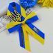 Брошка на 1 вересня патріотична з гербом 100-033 фото 1